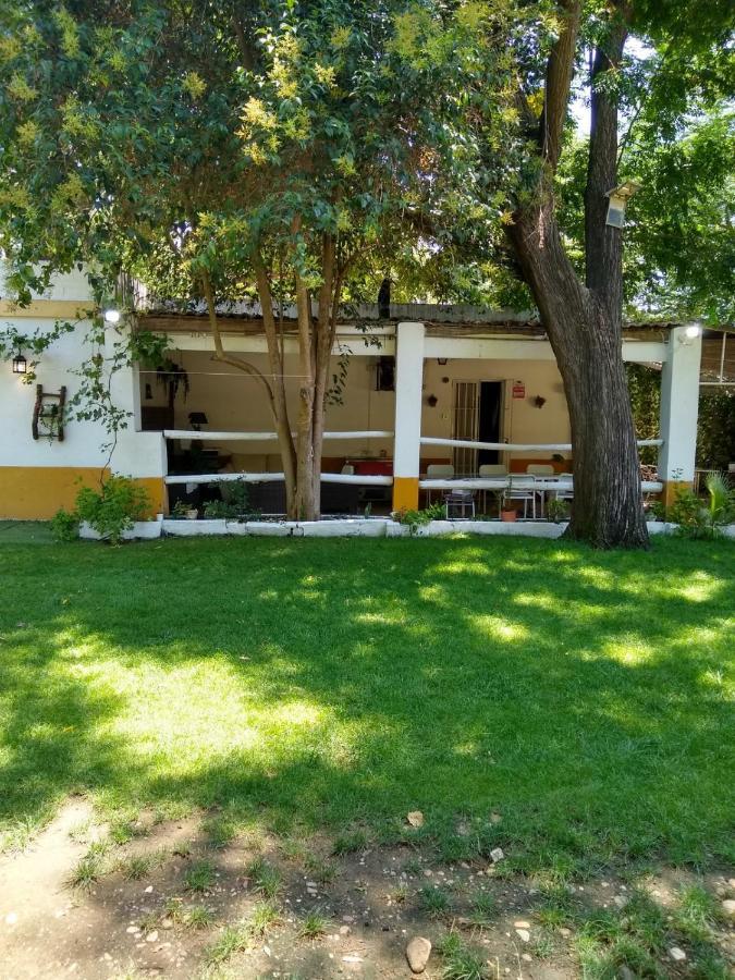 Finca El Naranjo Sevilla Exterior foto